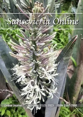 Sanseveria Online