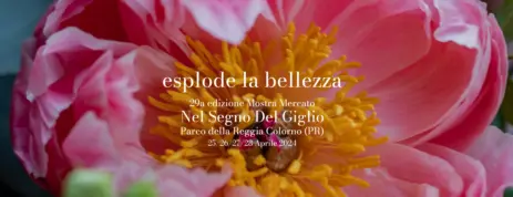 Nel Segno del Giglio