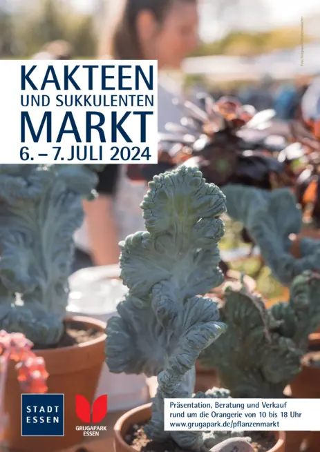 Kakteen und Sukkulentenmarkt