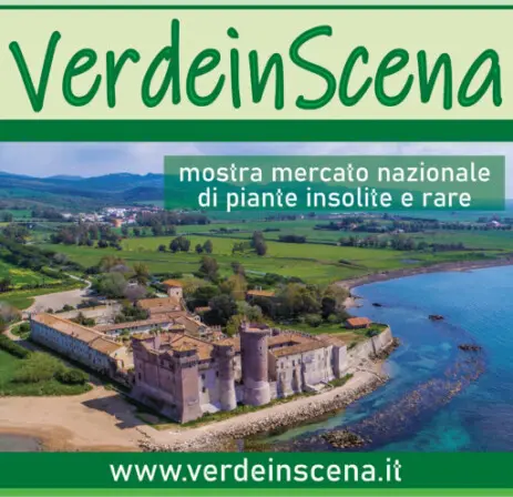 VerdeinScena