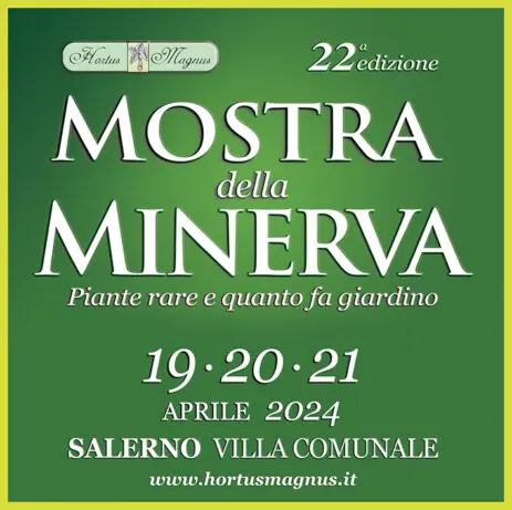 Mostra della Minerva