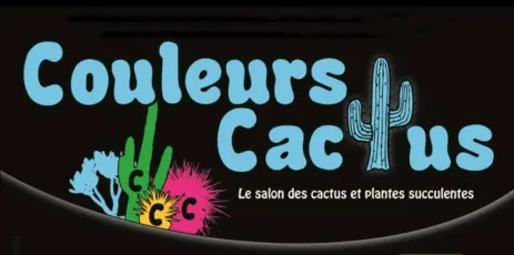 Coleurs cactus