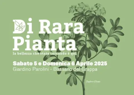 DiRara pianta