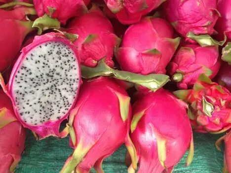 Pitaya cross section