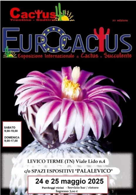 Eurocactus