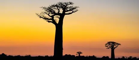 Madagascar