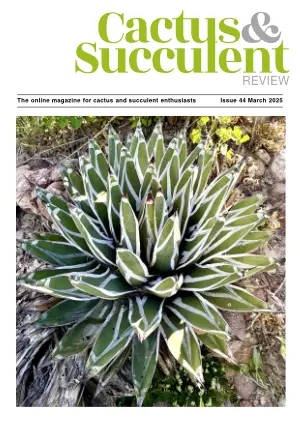 Cactus & Succulent review