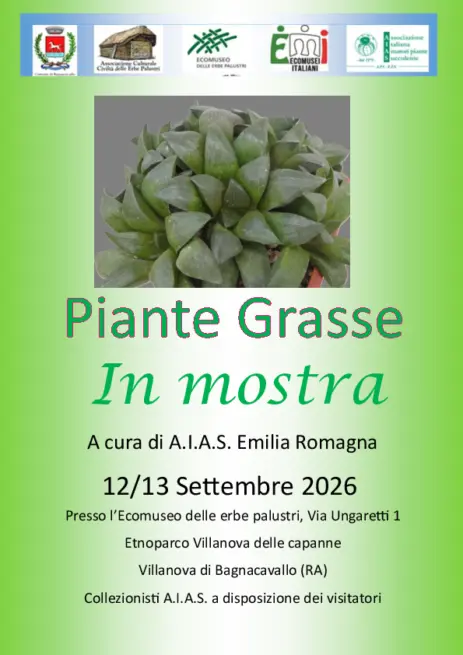 Piante grasse In mostra<br />Ecomuseo delle erbe palustri