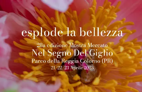 Nel Segno del Giglio