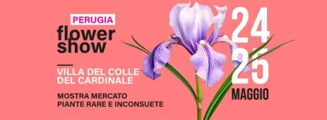 Perugia Flower Show