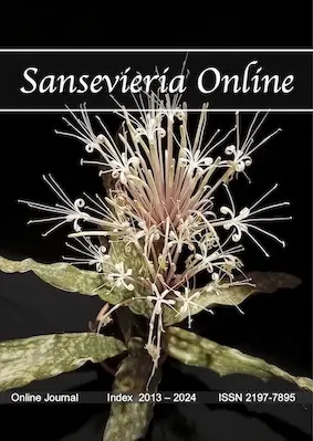 Sanseveria Online