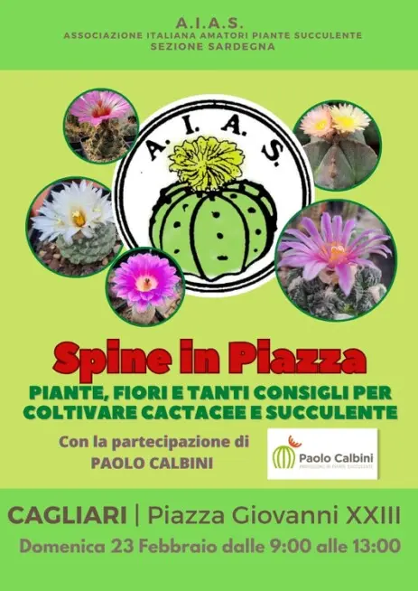 Spine in Piazza