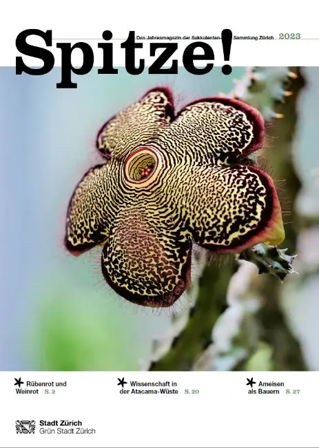 Spitze!