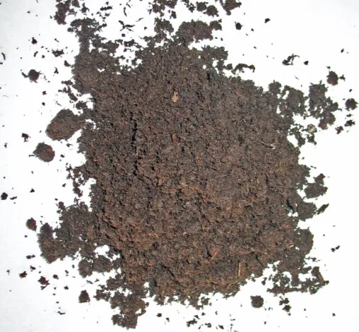 Terriccio torboso fine