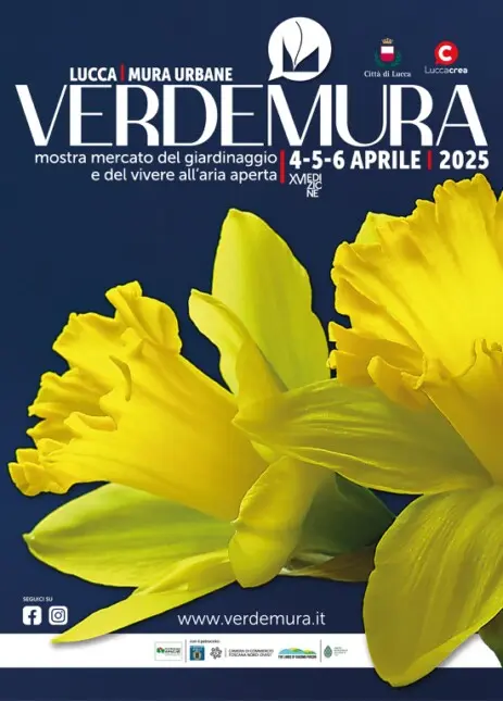 Verdemura Lucca