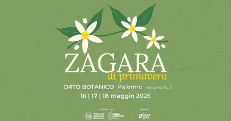 Zagara di primavera